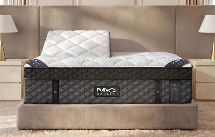Puffy Monarch Mattress - Image 6